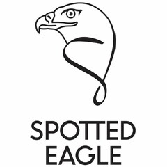 SPOTTED EAGLE