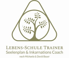 LEBENS-SCHULE TRAINER Seelenplan & Inkarnations Coach nach Michaela & David Bauer