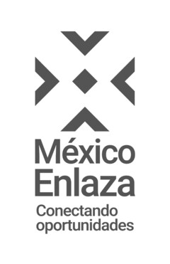 MÉXICO ENLAZA CONECTANDO OPORTUNIDADES