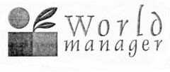 World manager