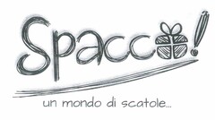 Spacco! un mondo di scatole..