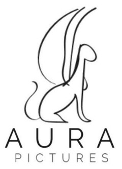 AURA PICTURES