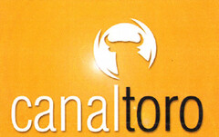 canaltoro