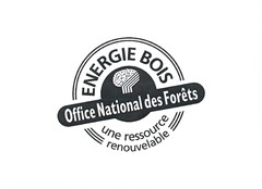 ENERGIE BOIS Office National des Forêts une ressource renouvelable