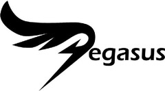 Pegasus