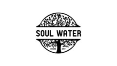 SOUL WATER DESDE 2017