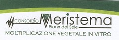 CONSORZIO MERISTEMA Piana Del Sele, Moltiplicazione Vegetale in Vitro.