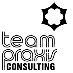 team praxis CONSULTING