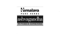 Himalaya PURE HERBS ashvagandha WITHANIA SOMNIFERA