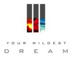 YOUR WILDEST DREAM