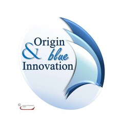 Origin & Blue Innovation