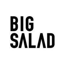 BIG SALAD