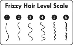 Frizzy Hair Level Scale