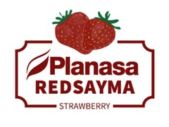 Planasa REDSAYMA STRAWBERRY