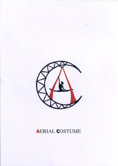 AERIAL COSTUME