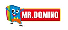 MR.DOMINO