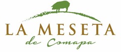 LA MESETA DE COMAPA