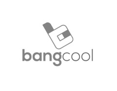 bangcool