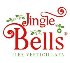 Jingle Bells ILEX VERTICILLATA