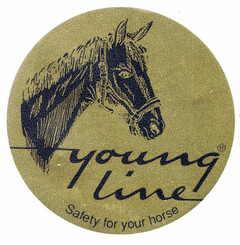 young line Safety for your horse