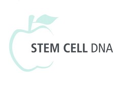 STEM CELL DNA