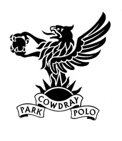 COWDRAY PARK POLO