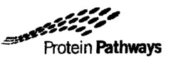 Protein Pathways