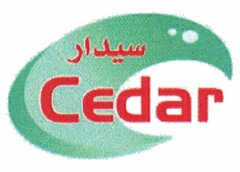 Cedar