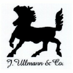 J. Ullmanm & Co.