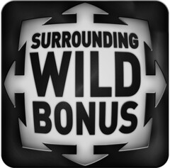 SURROUNDING WILD BONUS