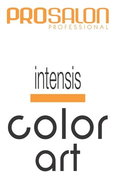 PROSALON PROFESSIONAL intensis color art