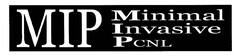 MIP Minimal Invasive PCNL