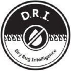 D.R.I.  Dry Rug Intelligence