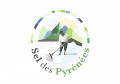 SEL DES PYRÉNÉES