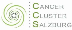 Cancer Cluster Salzburg