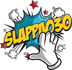 SLAPPA030