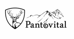 Pantovital