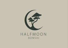 HALFMOON BONSAI