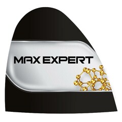 MAX EXPERT