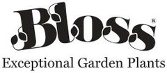 Bloss Exceptional Garden Plants