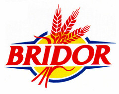 BRIDOR