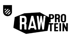 RAW PRO TEIN