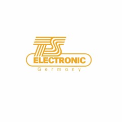 TS Electronic Germany