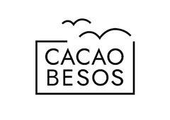 CACAO BESOS