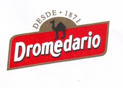 DROMEDARIO DESDE 1871