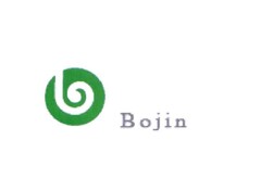 Bojin