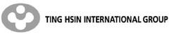 TING HSIN INTERNATIONAL GROUP