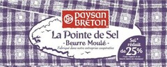 PAYSAN BRETON La Pointe de Sel - Beurre Moulé - Sel réduit de 25%