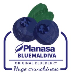 PLANASA BLUEMALDIVA ORIGINAL BLUEBERRY HUGE CRUNCHINESS