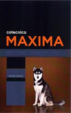 COTECNICA MAXIMA EXCELLENCE